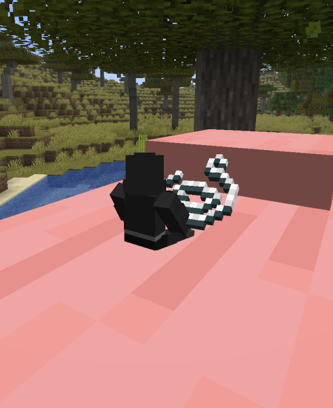 Pig ride