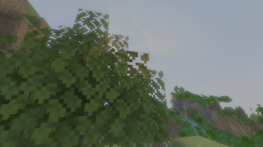 God rays through leaves