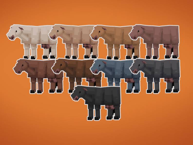 Image of farm animals