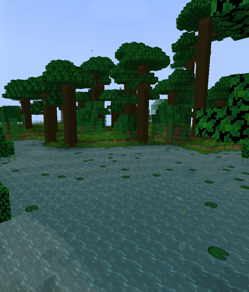 Tropical Rainforest