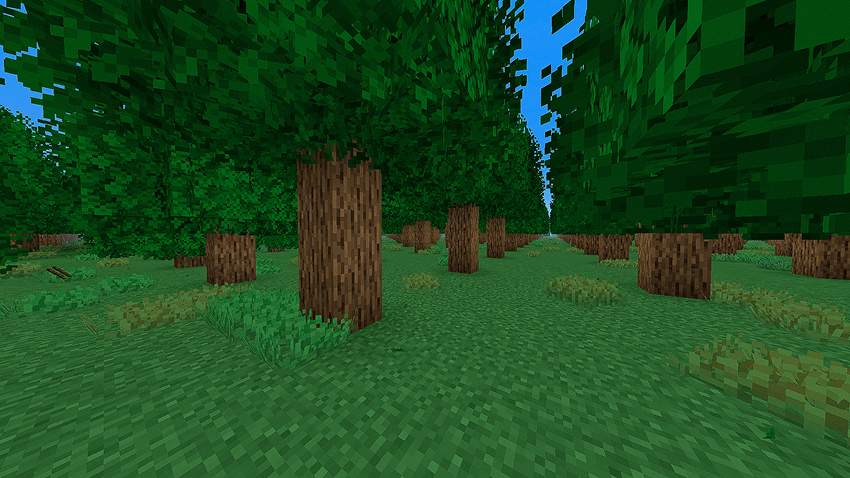 Endless Forest