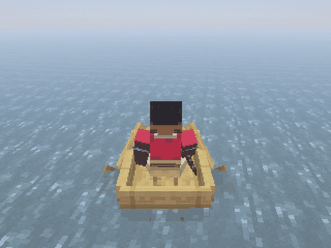 Third-person rowing with shoulder and torso movement
