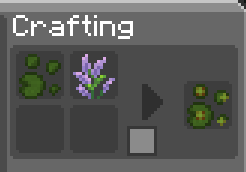 Tiny lily Pad + Flowering = Flowering Tiny Lily Pad