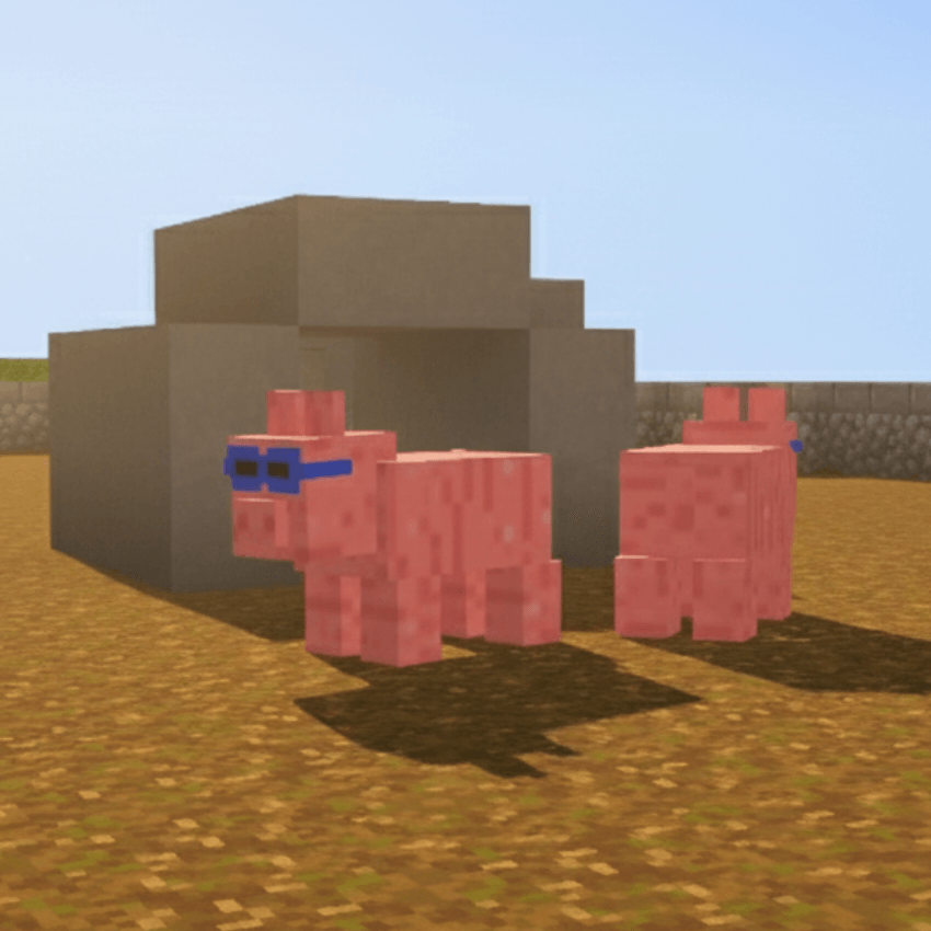 The pig