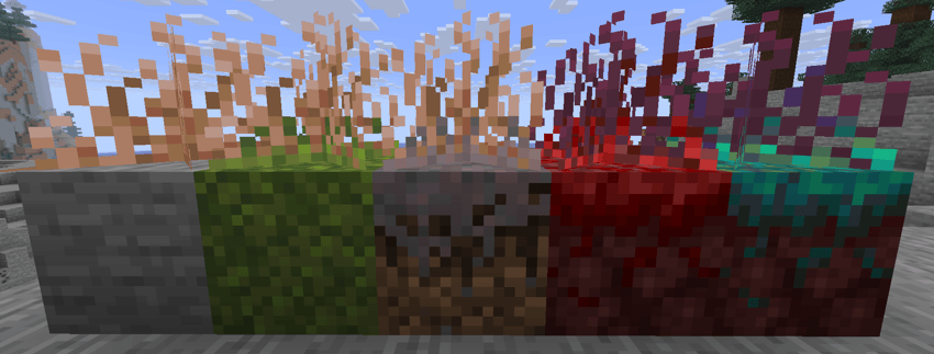 Image of all entangling roots block variants, from left to right: stripped variant on top of stone, mossy variant on top of moss block, mycelium variant on top of mycelium block, crimson variant on top of crimson nylium and warped variant on top of warped nylium