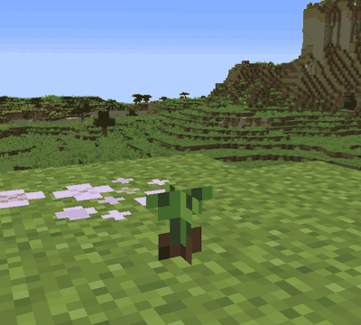 Tamer’s Plum crop growth animation