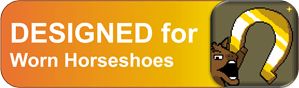Worn Horseshoes