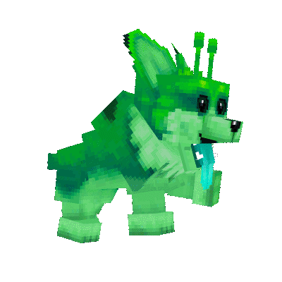 Corgis
