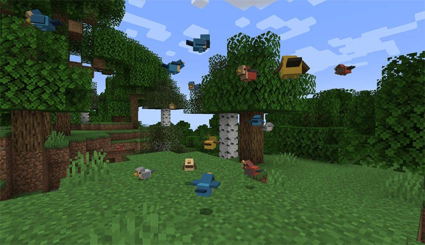 Birds
