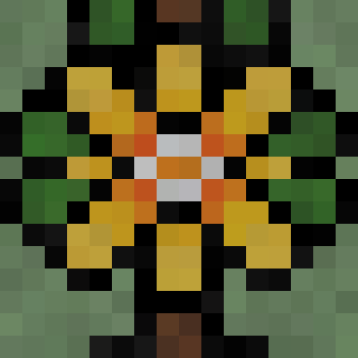 Branches