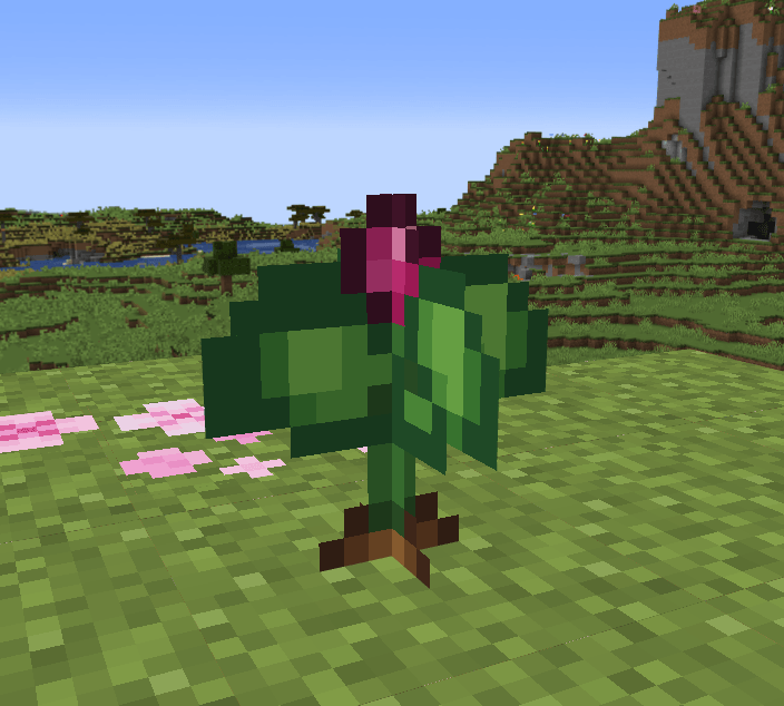 Bondberry crop growth stage two