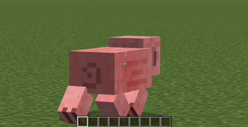 50x Zoom