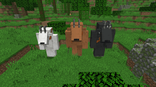 wildlers
