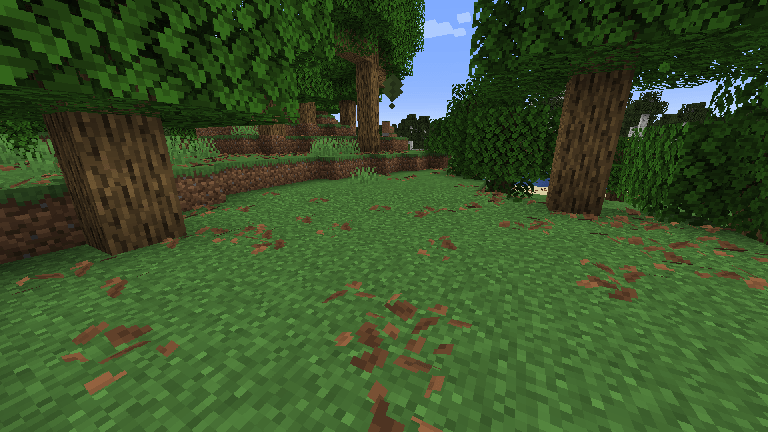 Leaf Litter
