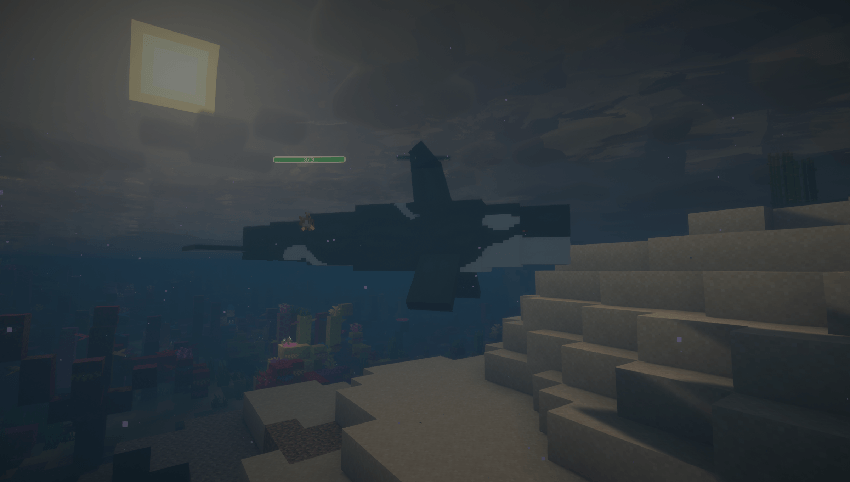the Orca