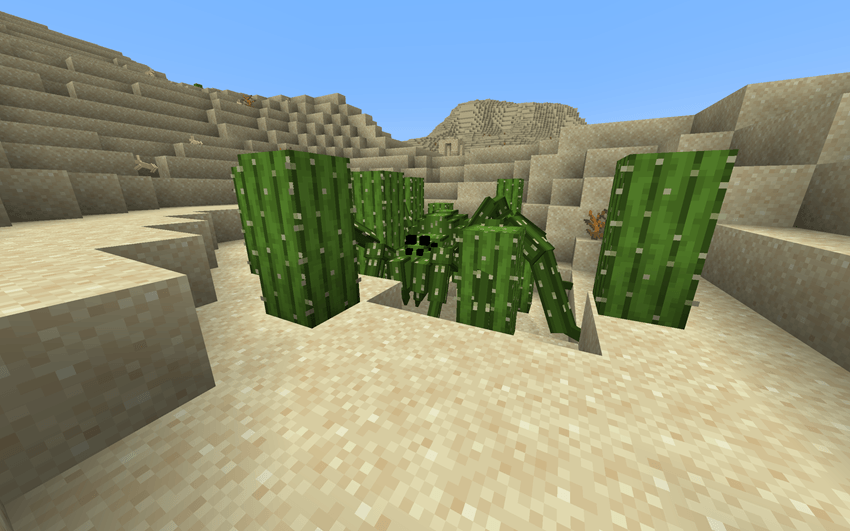 A cacturantula in a field of cacti