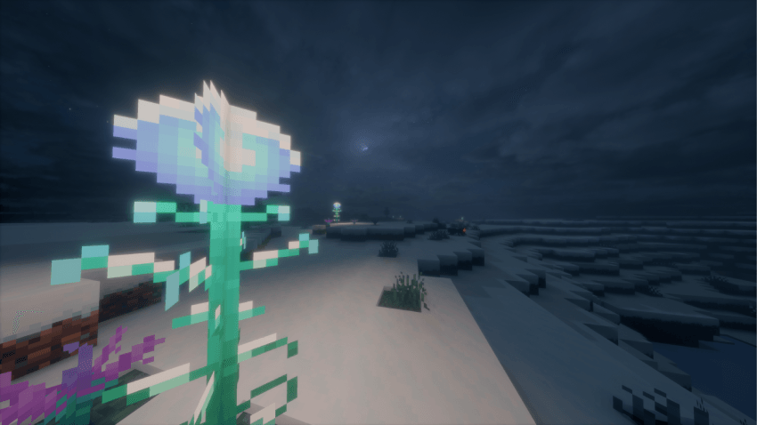 Snow Plants Showcase