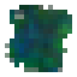 Compacted Must