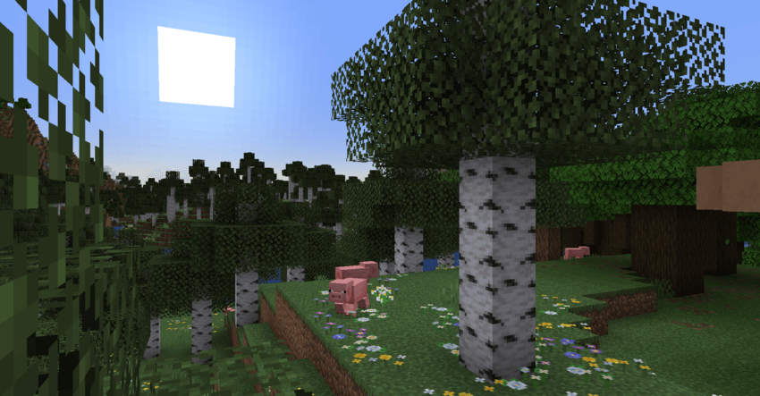 birch