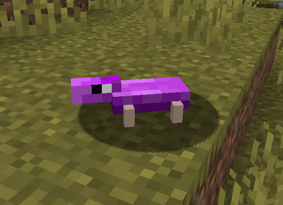 This is the pink variant of Champis