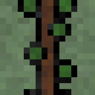 Branches