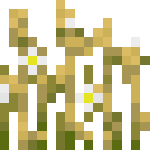 Flowering wheat