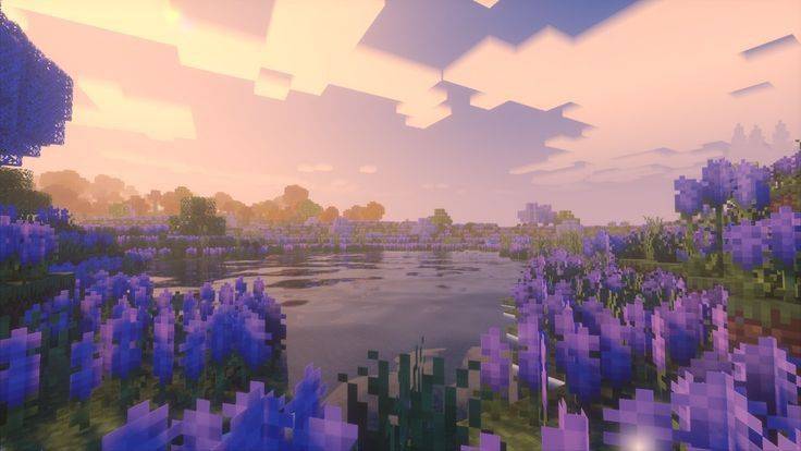 Home Sweet Home's Banner - Lilac Field 💜