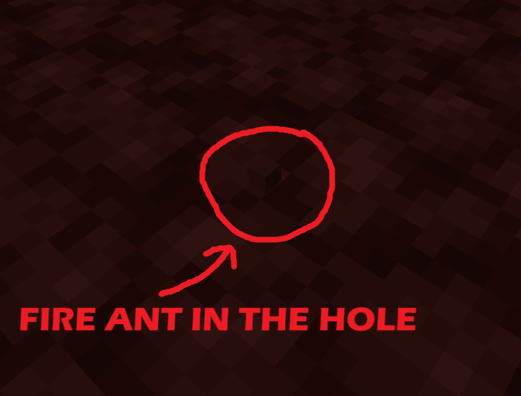 FIRE ANT IN THE HOLE