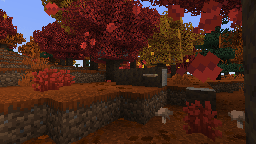 Dappled Forest