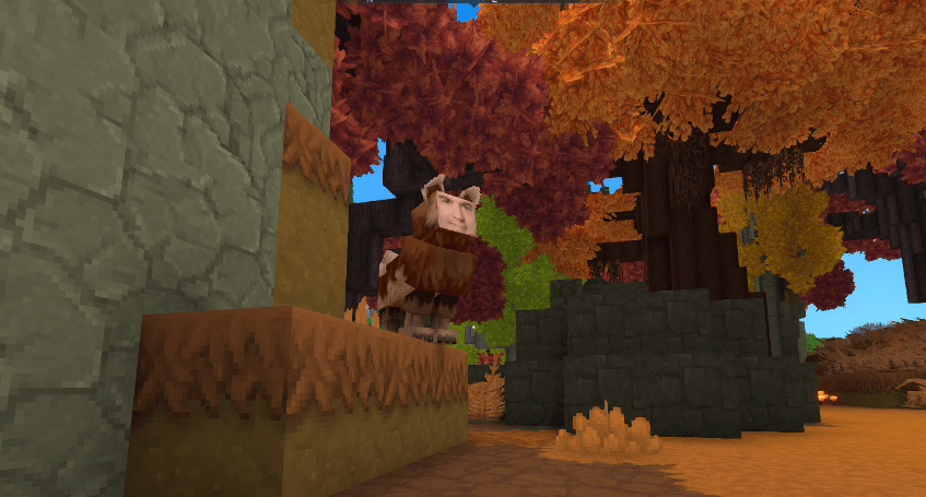 Perro Sanchez looking at the horizon