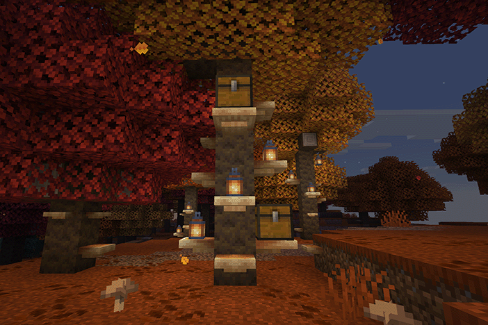 Tree with lanterns placed on shelf mushrooms.