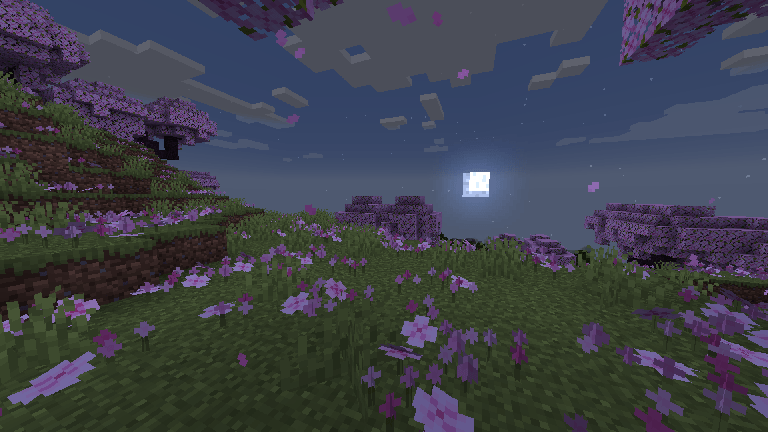 Pink Petals