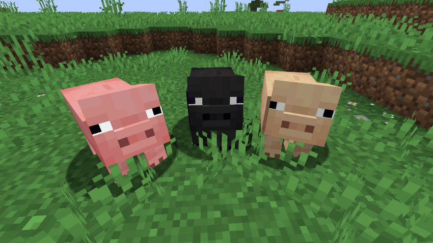 3 Little Piggies