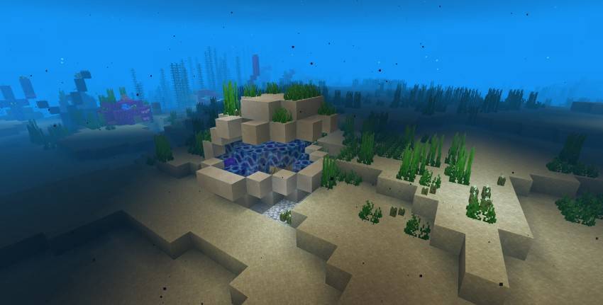 Древние раковины на морском дне