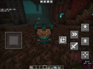 A Baby Piglin with trimmed armors