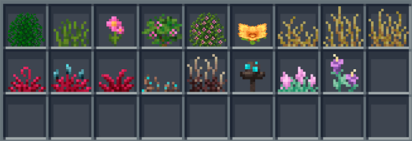 Plants