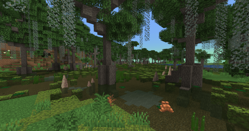 Bayou