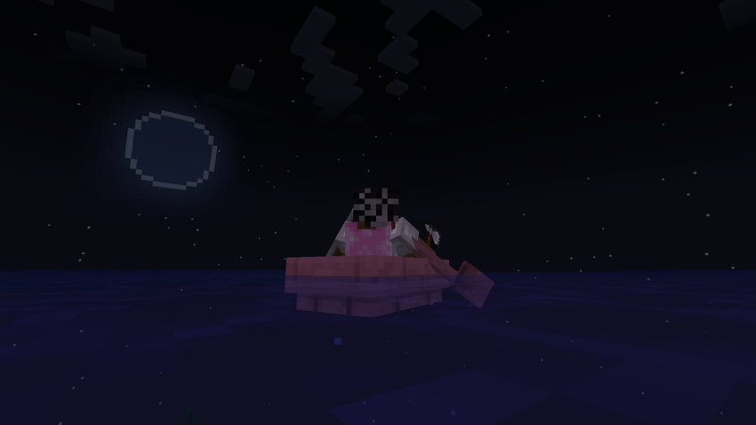 Night in the ocean