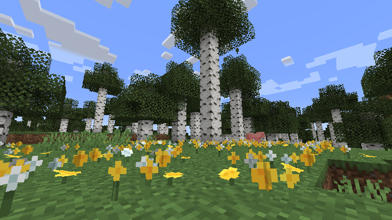 Wildflowers
