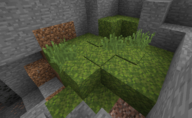 moss