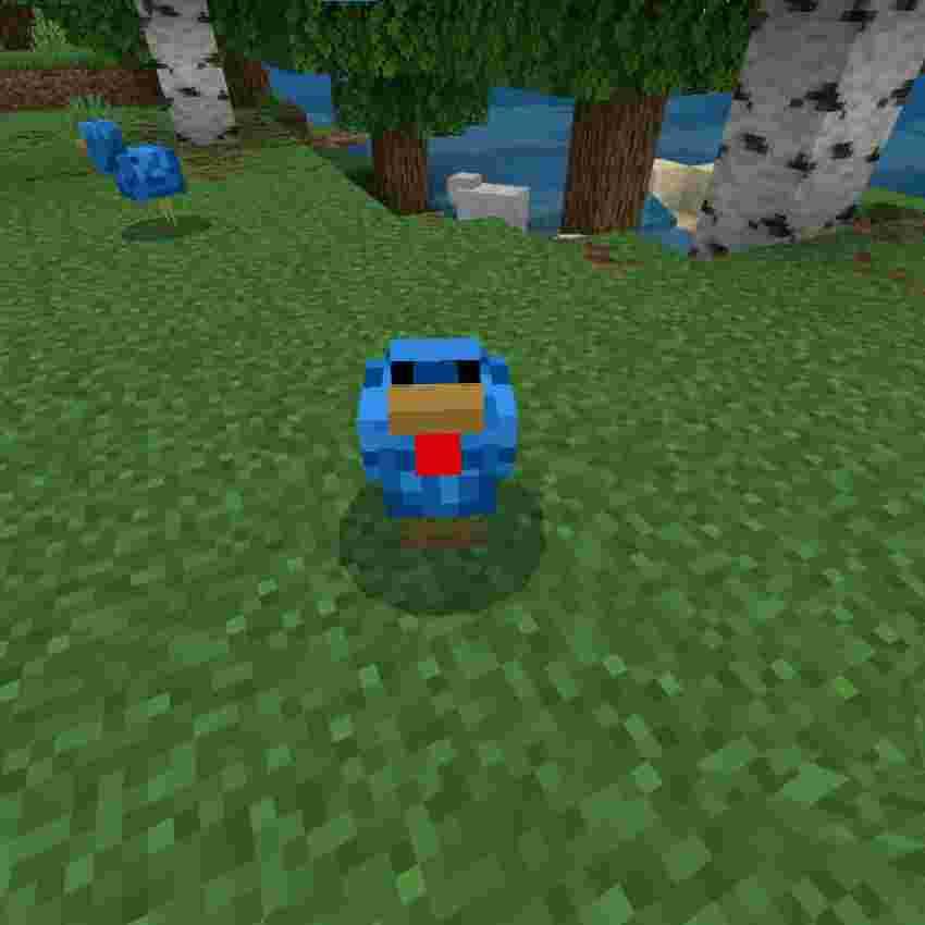 Blue Chicken