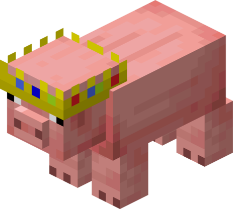 Temperate Pig