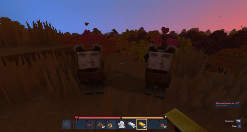 A pair of Perro Sanchez looking for gold bars