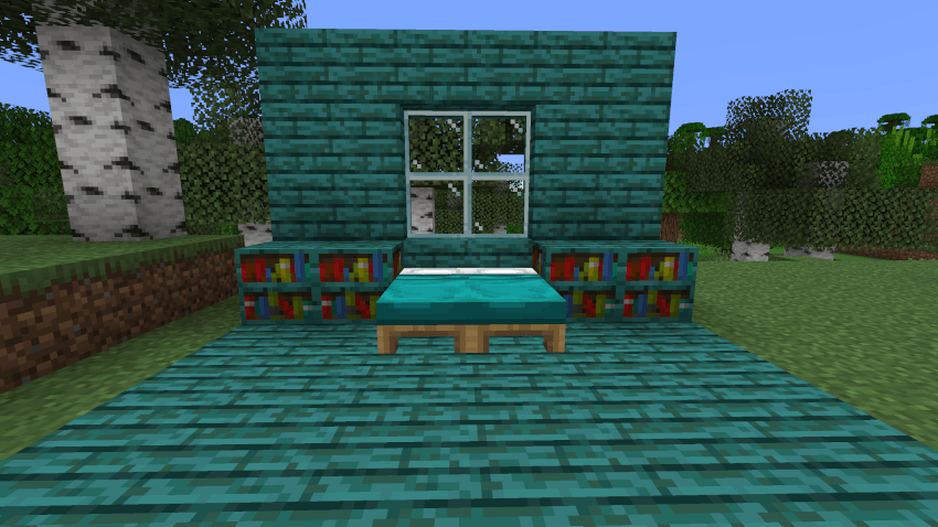 Bookshelves in interior