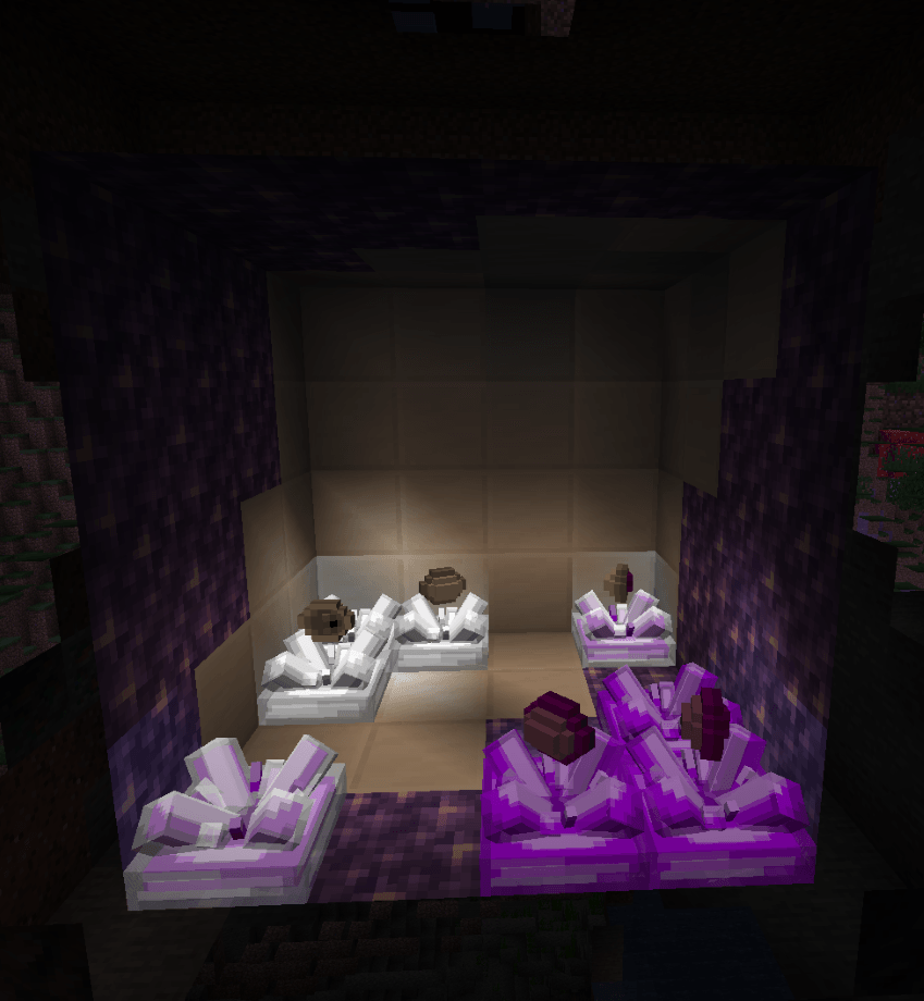 The Duality Geode