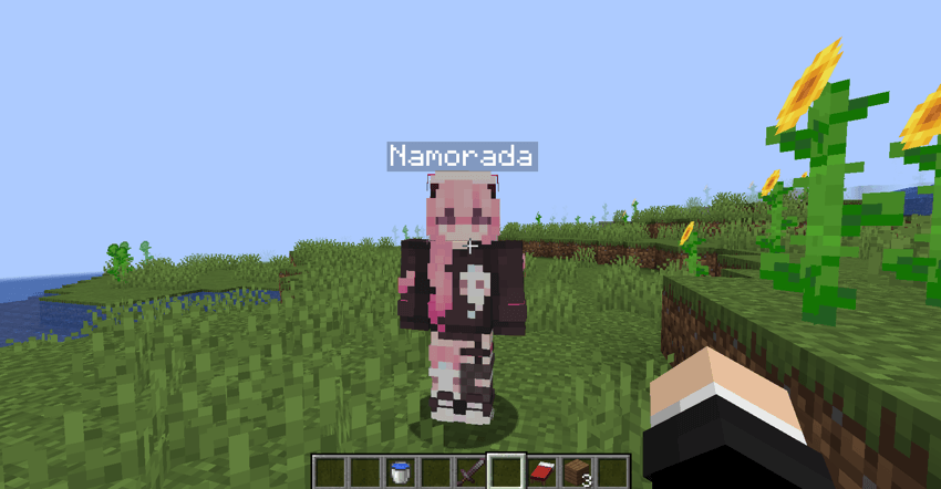 robo