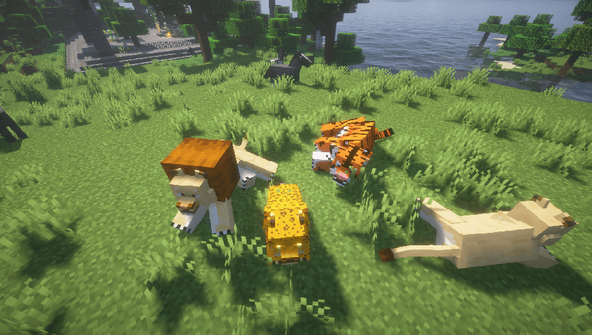 the big cats