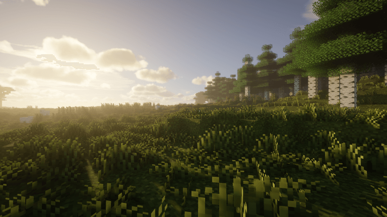 Lush Grass Showcase