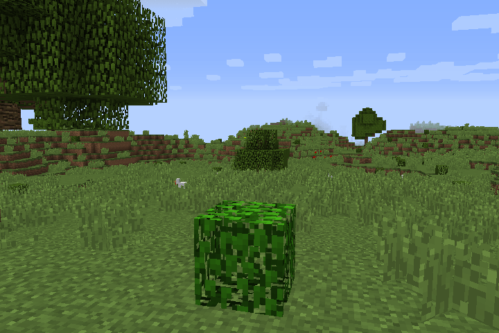 A spotless bush!