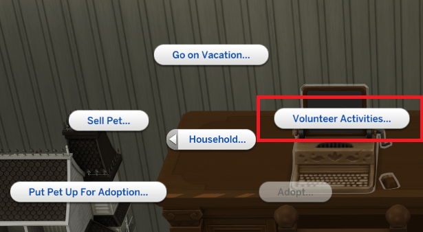 The Volunteer interaction on a computer.